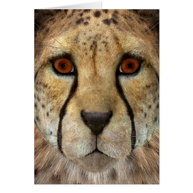 Cheetah (Frente)
