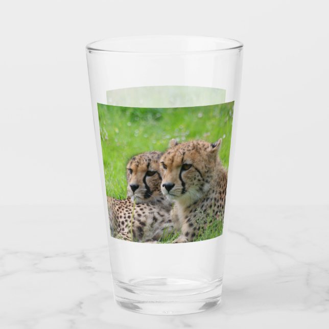 Cheetah 001 (Anverso)
