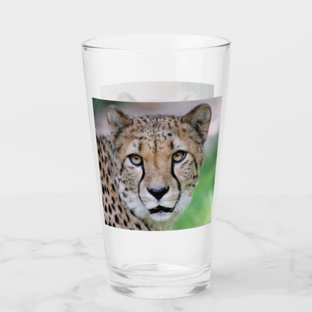 Cheetah 009 (Anverso)