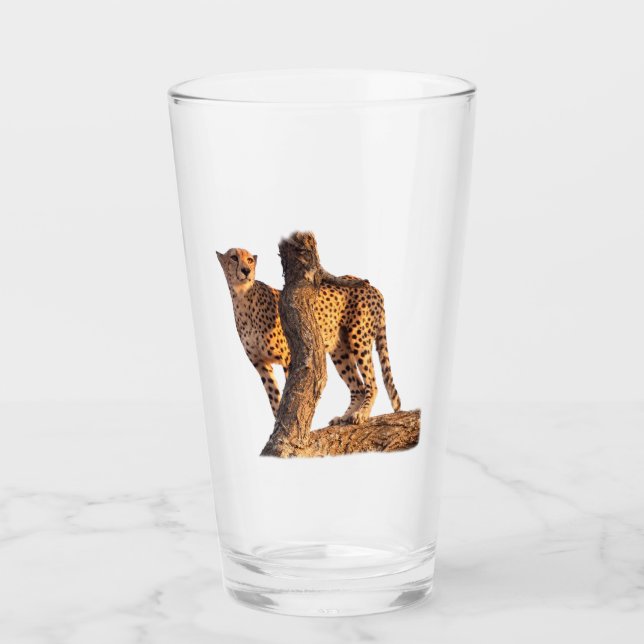 Cheetah Glass (Anverso)