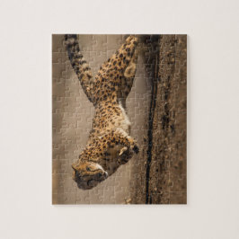 Cheetah Jigsaw Puzzle