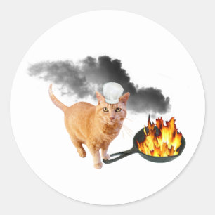 Chef de gato con Pegatinas de pan de fritura