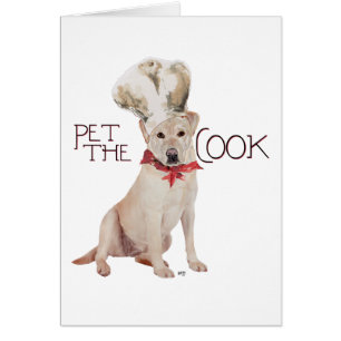 Chef Labrador Retriever Amarillo