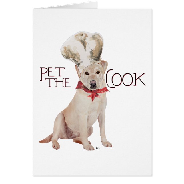 Chef Labrador Retriever Amarillo (Frente)