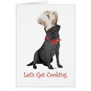Chef Labrador Retriever Negro