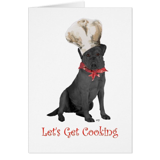 Chef Labrador Retriever Negro (Frente)