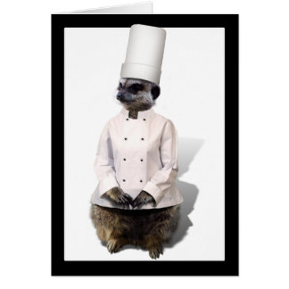 Chef Meerkat