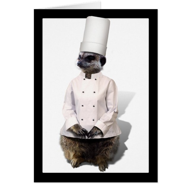 Chef Meerkat (Frente)