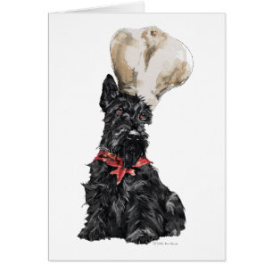 Chef Terrier Escocés