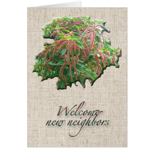 Chenille Plant Welcome Veighbourne Card (Frente)