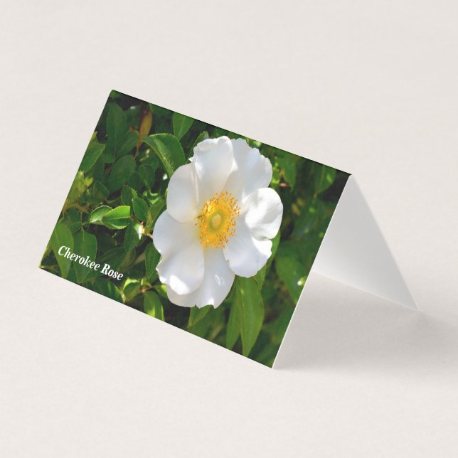 Cherokee Rosa Tarjeta plegable de flor (Anverso)