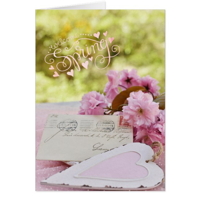 Cherry Blossom Loveletter Spring Textos (Frente)