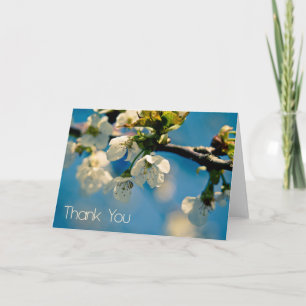 Cherry Blossom ・ Tarjeta de agradecimiento