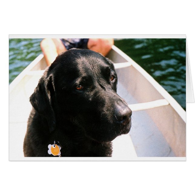 Chert Dog (Anverso (Horizontal))