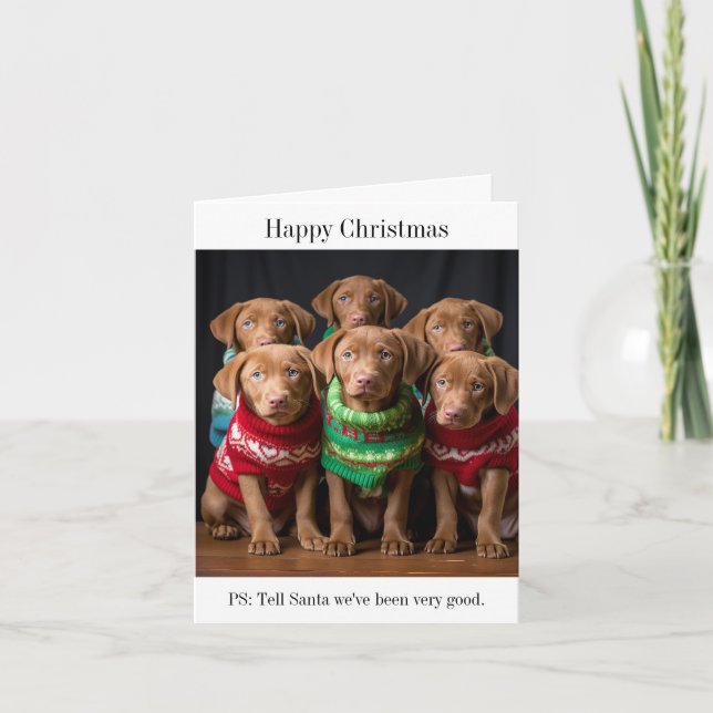 Chesapeake Bay Retriever Cuppies Tarjeta de Navida (Anverso)