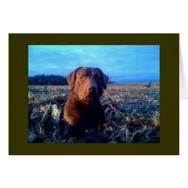 Chessie (Anverso (Horizontal))