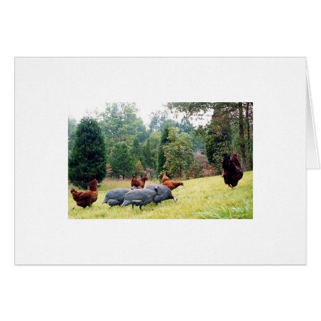 Chester y su ejército en patrulla (Anverso (Horizontal))