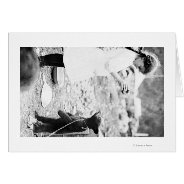 Chica alimentando el cubo del oso en Seward (Anverso (Horizontal))