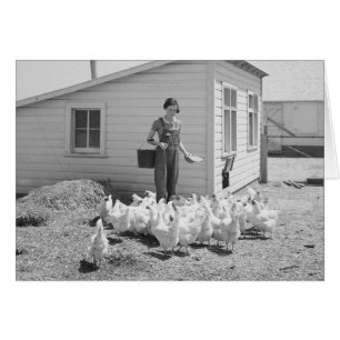 Chica de granja dando de comer a pollos, 1936