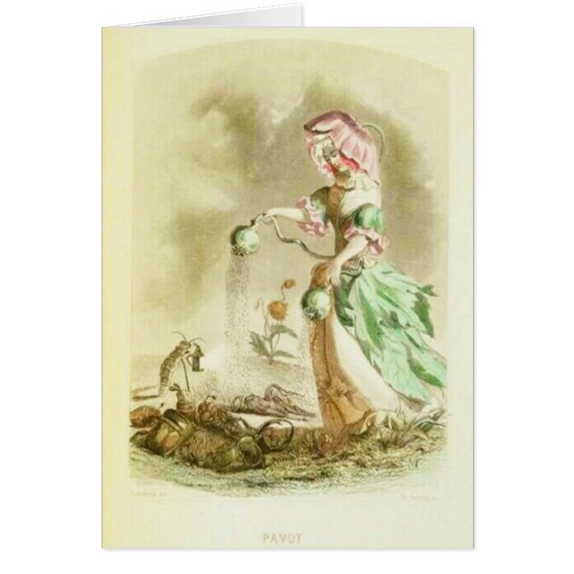 Chica de la amapola (Frente)