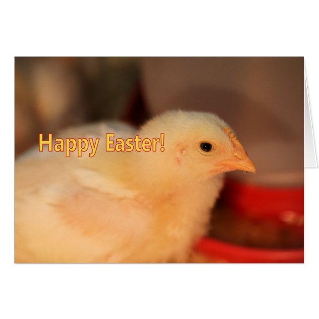 Chica de Pascua (Anverso (Horizontal))