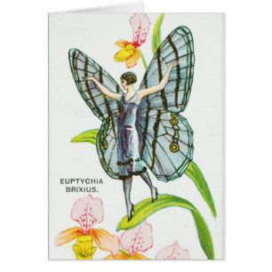 Chica de plata de la mariposa