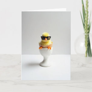 Chica Guay Con Gafas De Sol Tarjeta De Foto