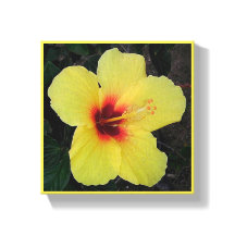 Chica Hula Hawaiana Hibisco Impresión en Lienzo Es