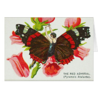 Chica negro y rojo de la mariposa