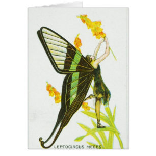 Chica negro y verde de la mariposa