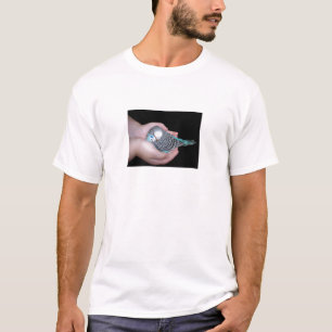 Chica que sostiene la camisa del budgie del bebé