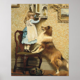 Chica Vintage y Arte de Perro Sheltie Lugar Secret
