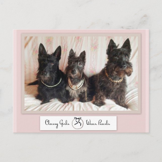 Chicas de clase llevan postal de Perlas (Anverso)