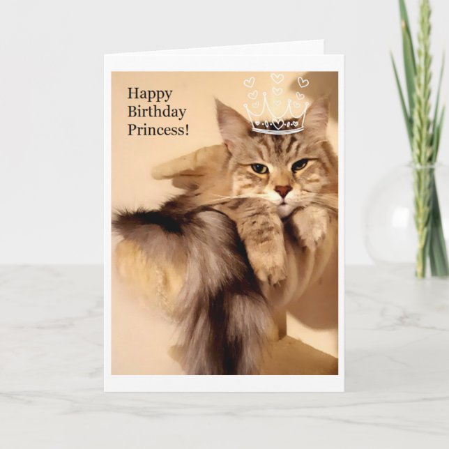 Chicas de la Princesa Feliz Cumpleaños tarjeta en  (Anverso)