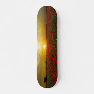 Chicas skateboard Sunset en Poppy Field