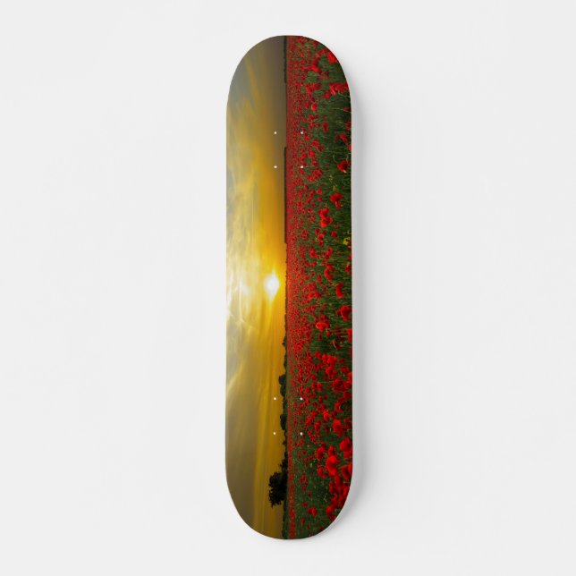 Chicas skateboard Sunset en Poppy Field (Anverso )