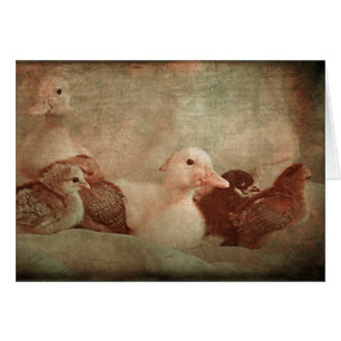 Chicas y pollos
