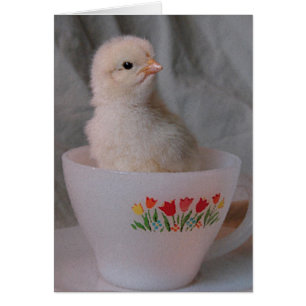 Chick en un equipo vintage