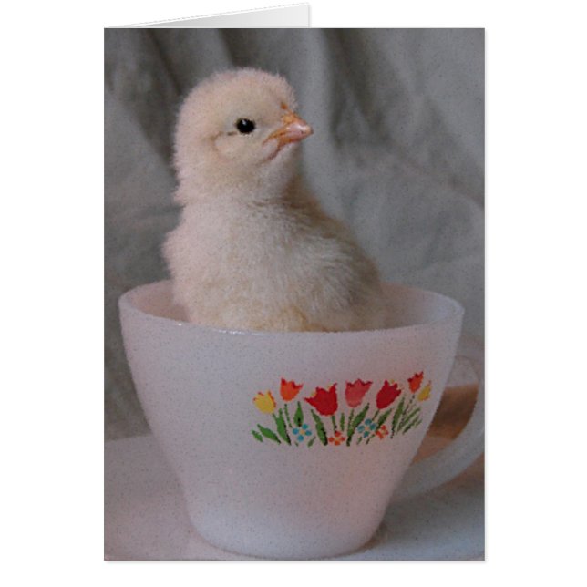 Chick en un equipo vintage (Frente)