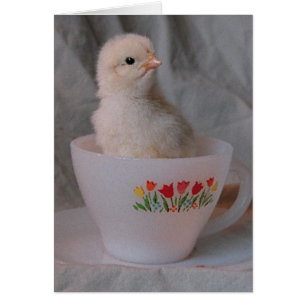 Chick en un equipo vintage