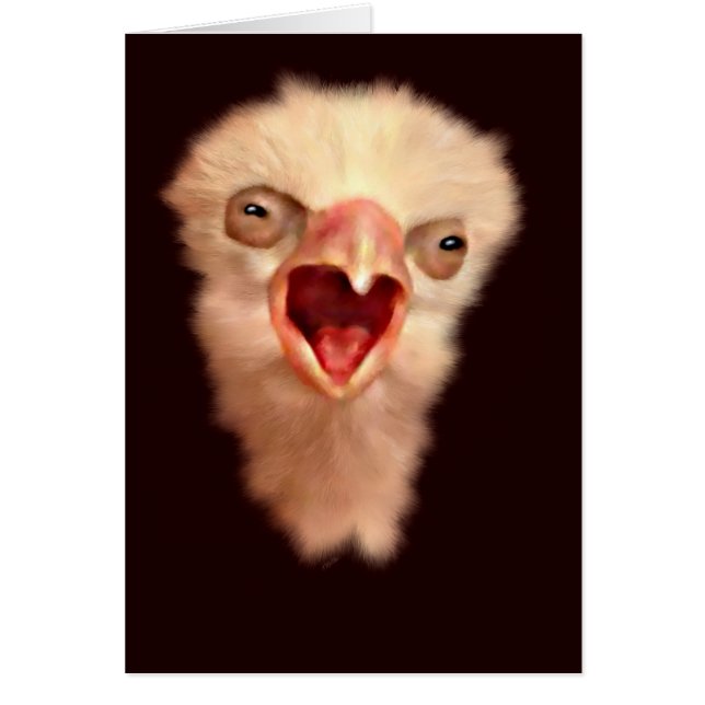 Chick Falcon (Frente)
