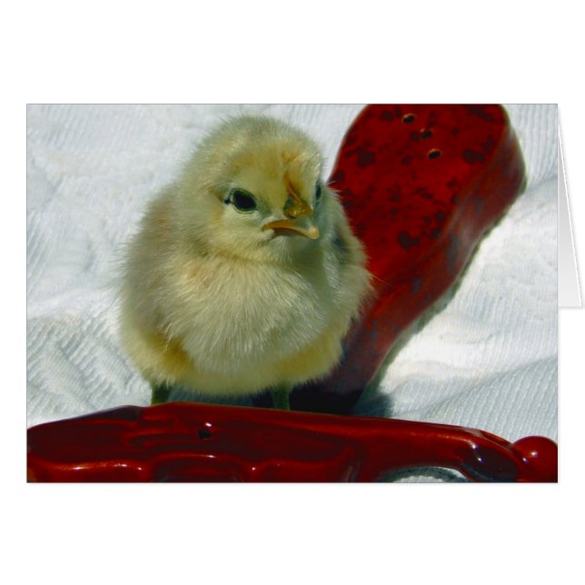 Chick musical (Anverso (Horizontal))