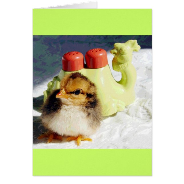 Chick y camello (Frente)