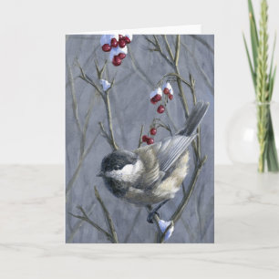 Chickadee del navidad
