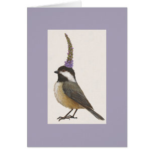chickadee en la lavanda