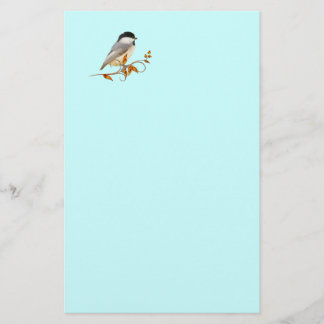 Chickadee sobre hojas de yeso