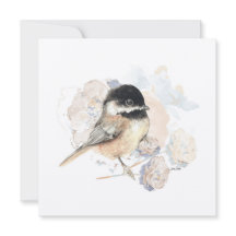 Chickadee Songbird acuarela