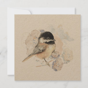 Chickadee Songbird acuarela