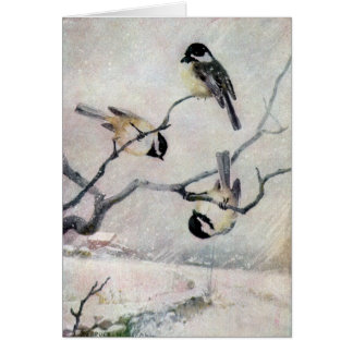 Chickadees en la nieve