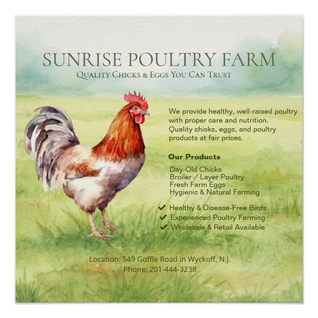 Chicken Farm Glossy Poster (Anverso)